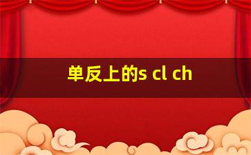 单反上的s cl ch